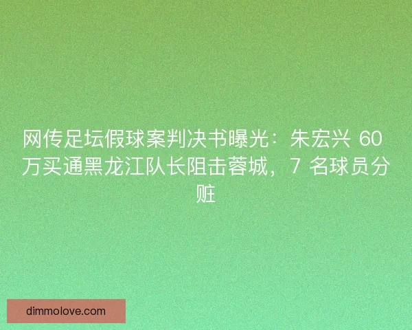 网传足坛假球案判决书曝光：朱宏兴 60 万买通黑龙江队长阻击蓉城，7 名球员分赃
